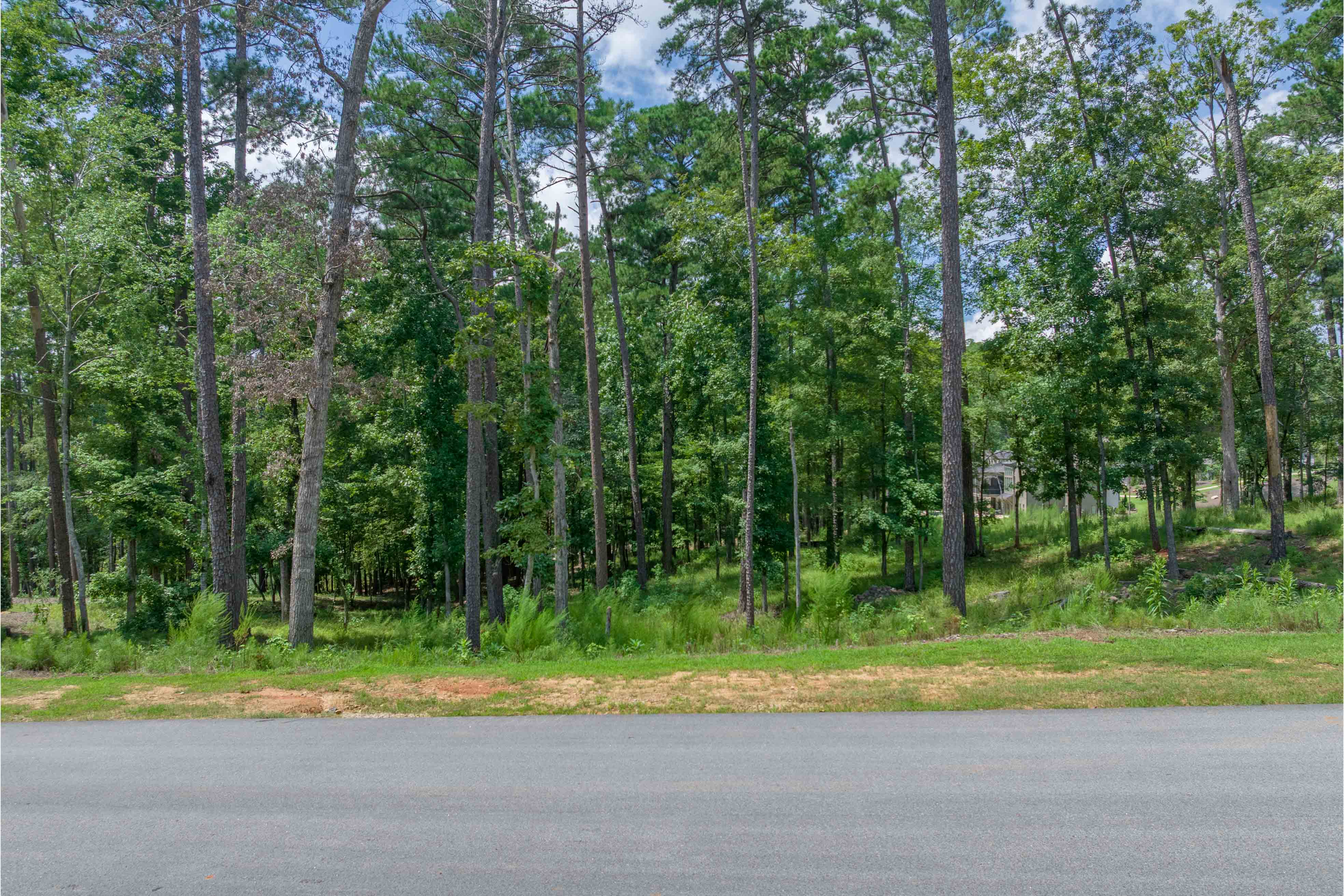 1491 Night Heron Drive image 2